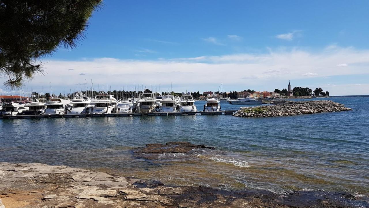 Apartments Mirella Novigrad Istria المظهر الخارجي الصورة