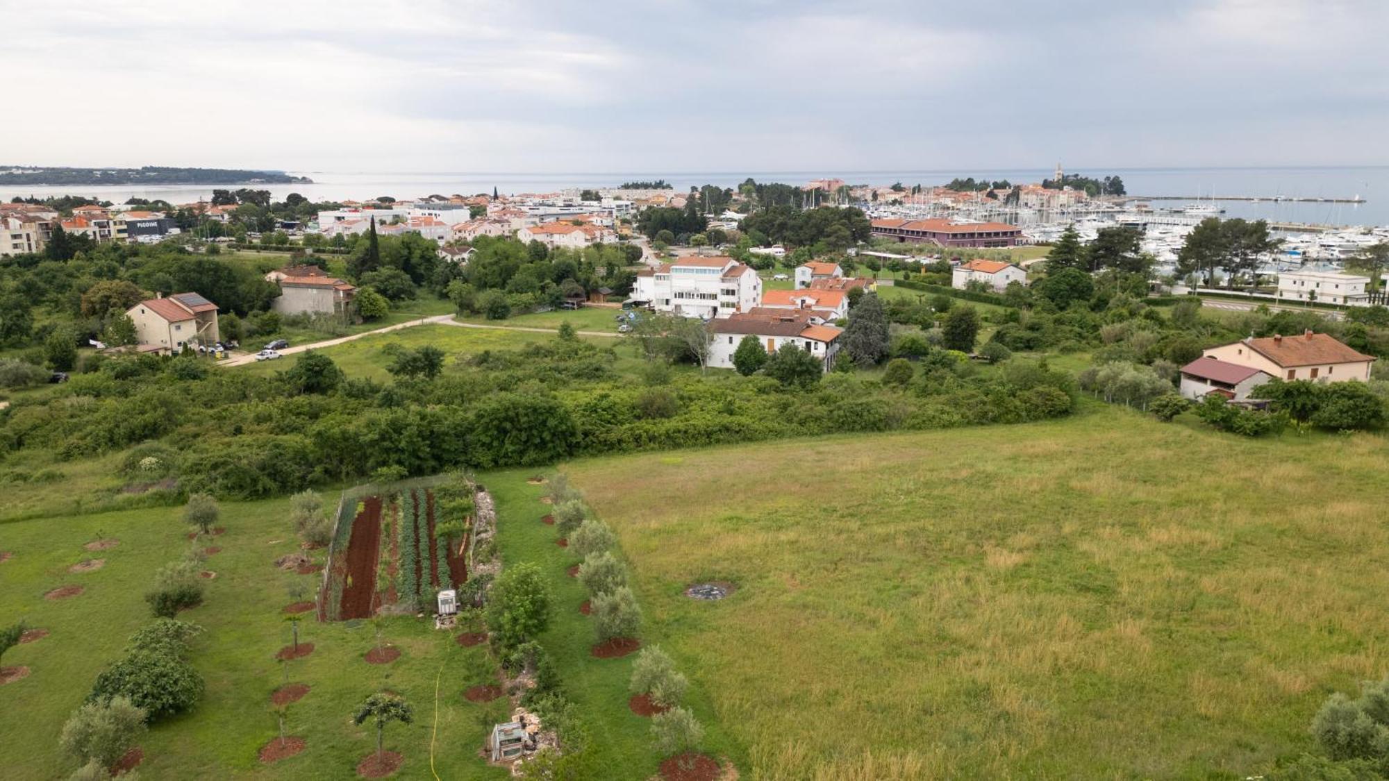 Apartments Mirella Novigrad Istria المظهر الخارجي الصورة