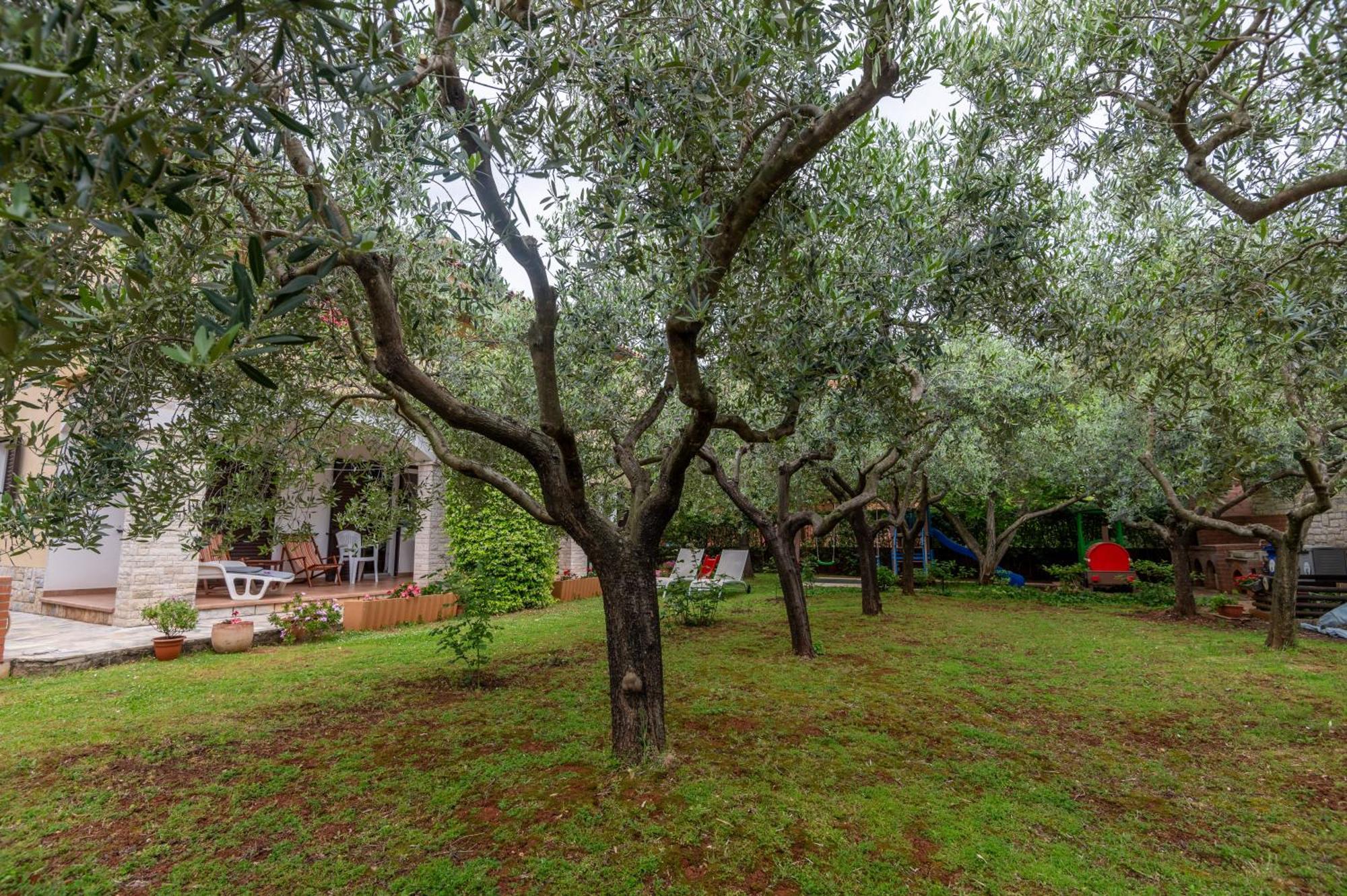 Apartments Mirella Novigrad Istria المظهر الخارجي الصورة